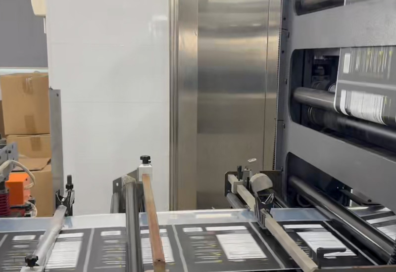 video1.jpg